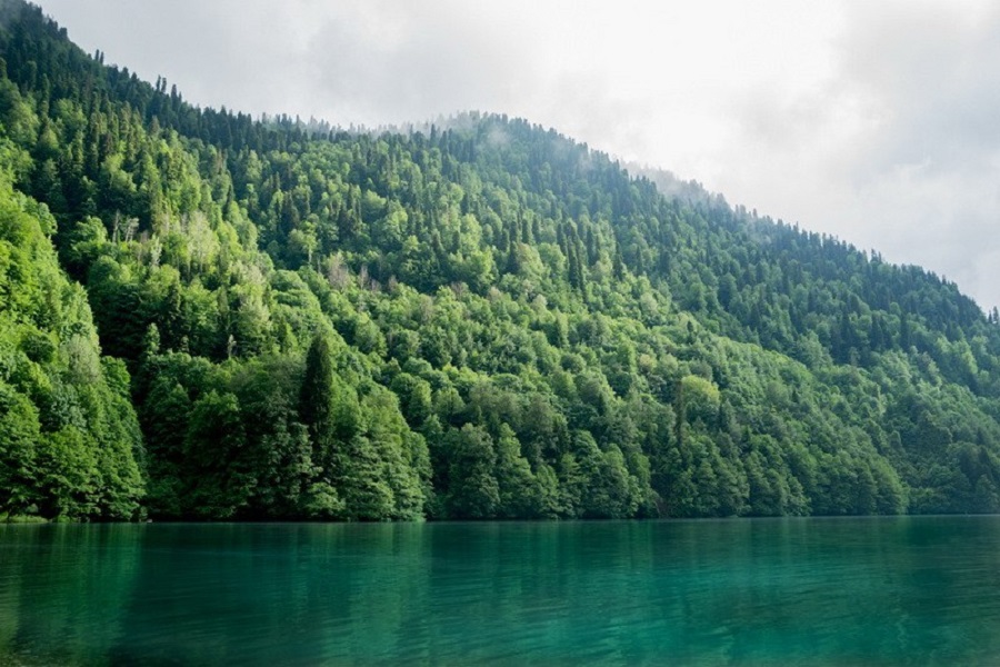 Озеро Рица – самое популярное среди туристов место отдыха, одно из чудес природы Абхазии, по праву считается самой большой легендой Кавказа.